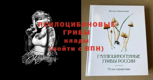 бутират Медногорск