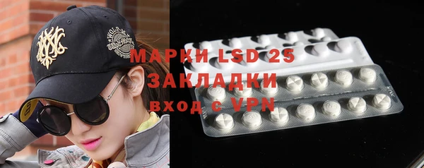 прущие грибы Семикаракорск