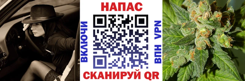 ссылка на мегу рабочий сайт наркота Вытегра Каннабис Ganja